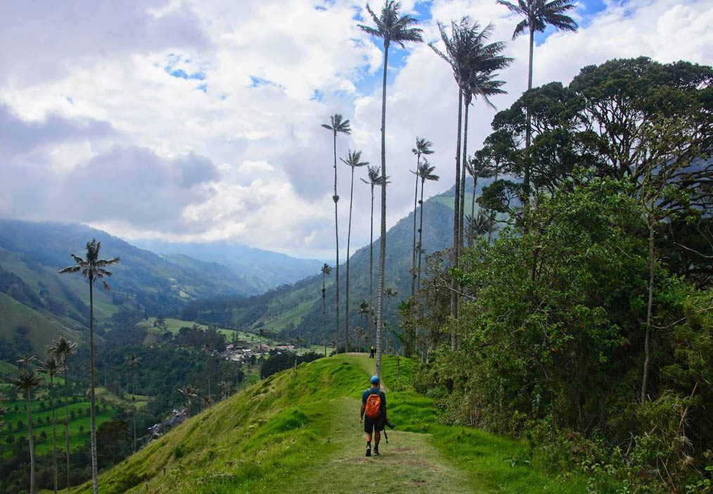 Discovering the Marvels of Valle Del Cocora: The Ultimate Hiking Guide