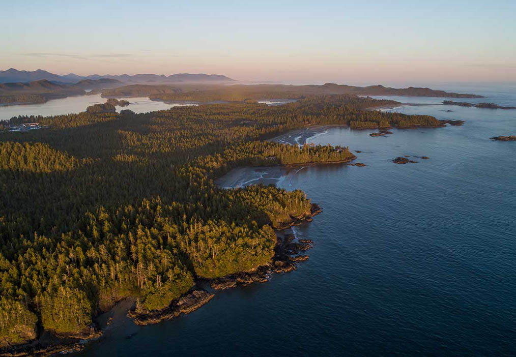 PLANNING YOUR ULTIMATE VANCOUVER ISLAND ROAD TRIP ITINERARY